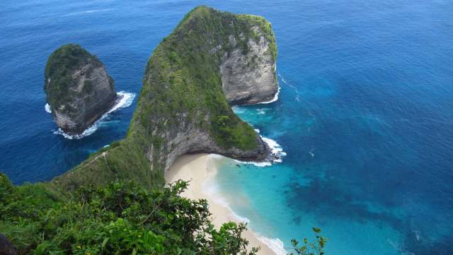 The Bali starling is a victim of its own beauty, with poachers relentlessly targeting the birds for their white feathers.