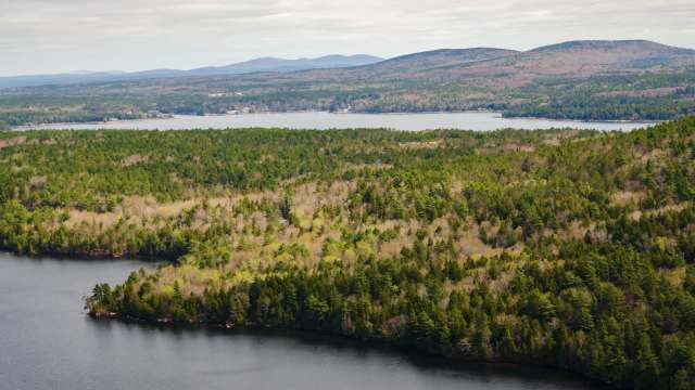 "We will immediately be rebuilding."