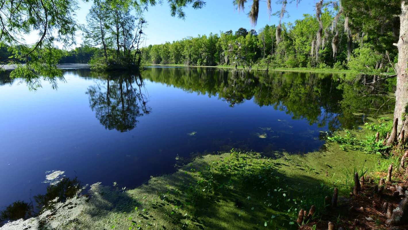 After considerable work from multiple stakeholders, South Carolina is set to open its first new state park in 20 years.