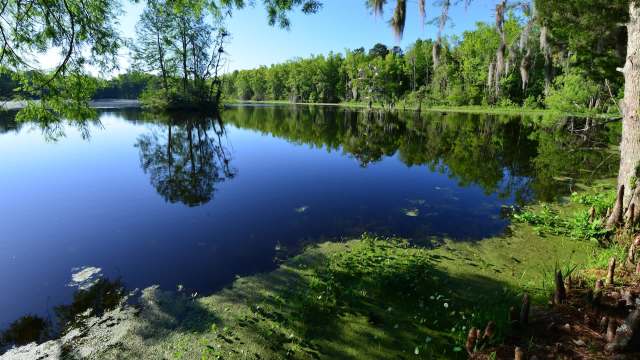 After considerable work from multiple stakeholders, South Carolina is set to open its first new state park in 20 years.