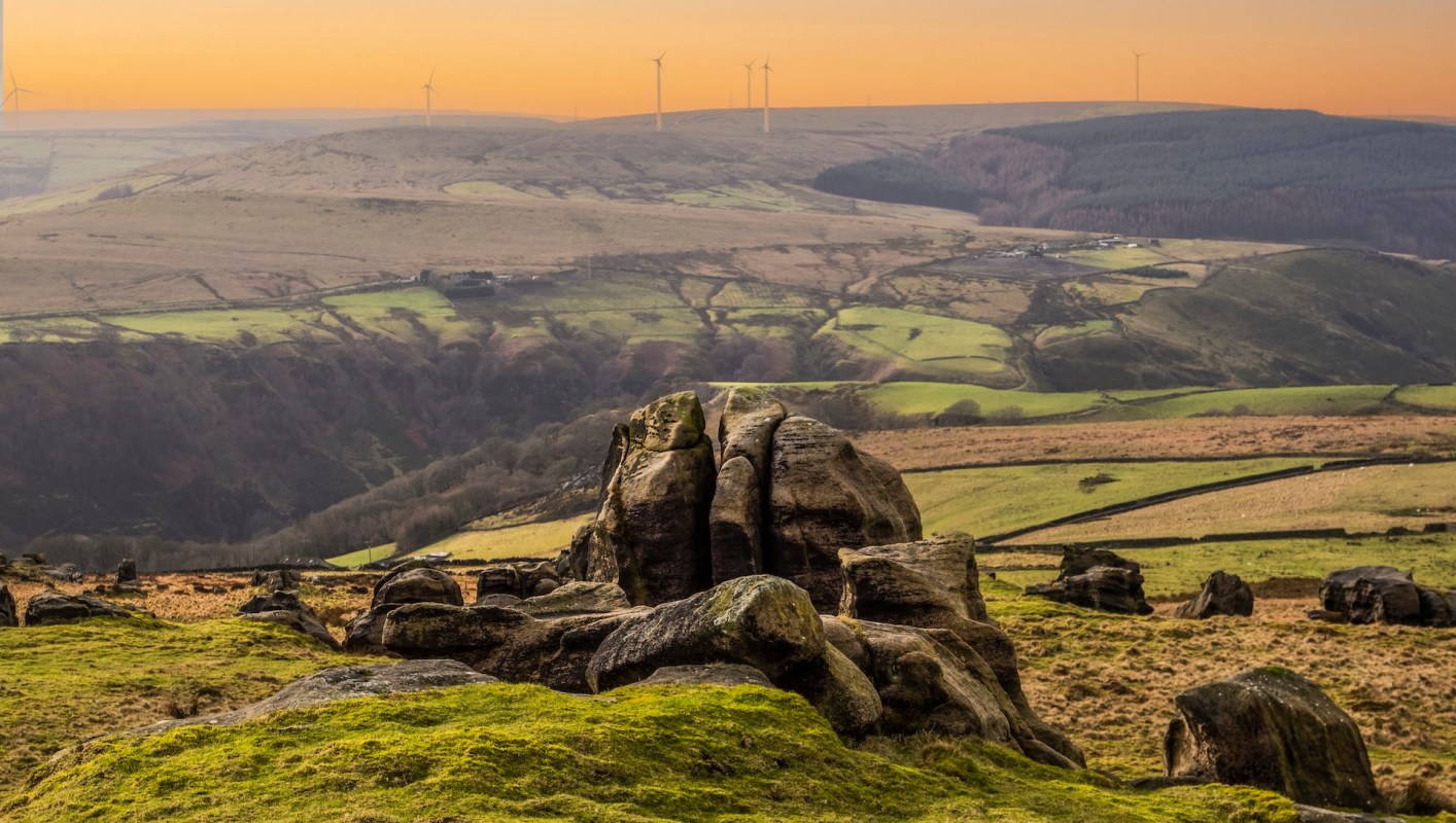 "We're going to save this bit so everyone can come up and enjoy it."