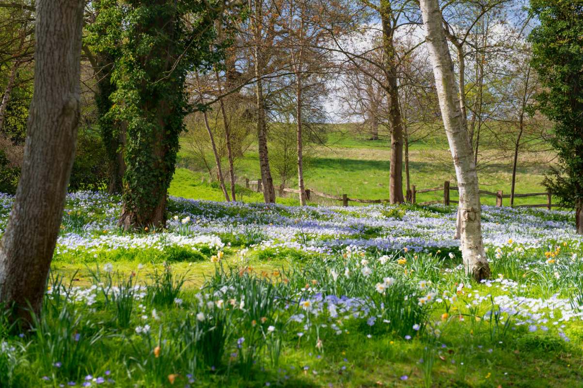 "We’re incredibly grateful."