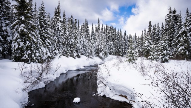 Researchers have developed underground filters that could be used in an effort to clean up polluted groundwater.