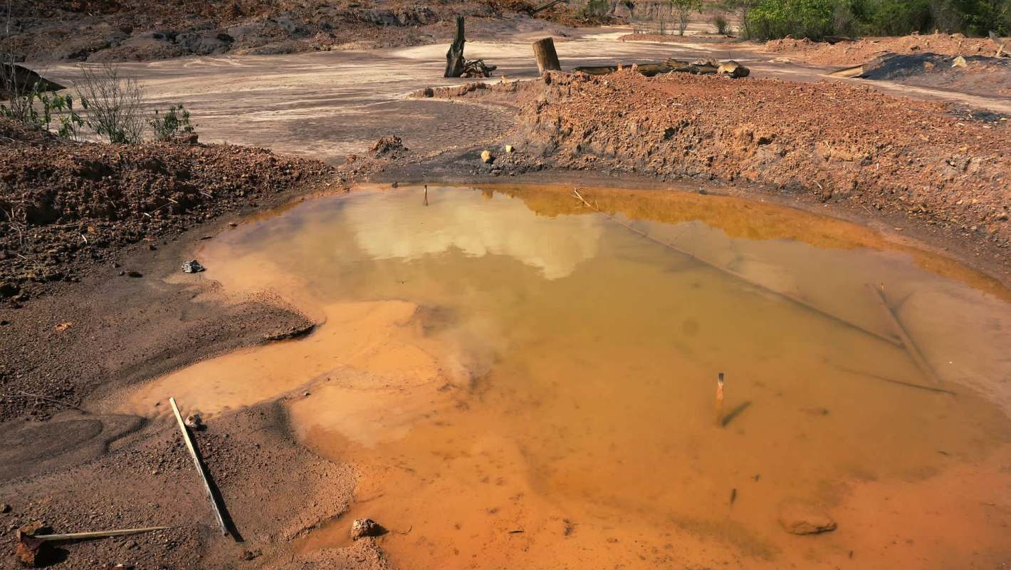 Earlier this year, the International Rights of Nature Tribunal accused Canadian mining companies of abusing ecosystems and communities at home and abroad.