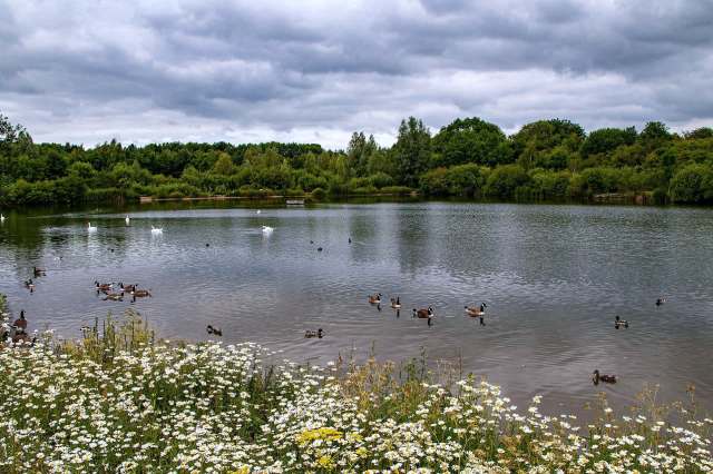 "There's nothing here."