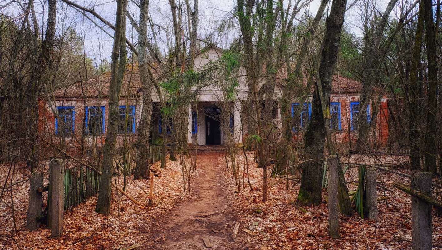 This was not the first time that authorities had discovered an illegal logging operation taking place in war-torn Ukraine.