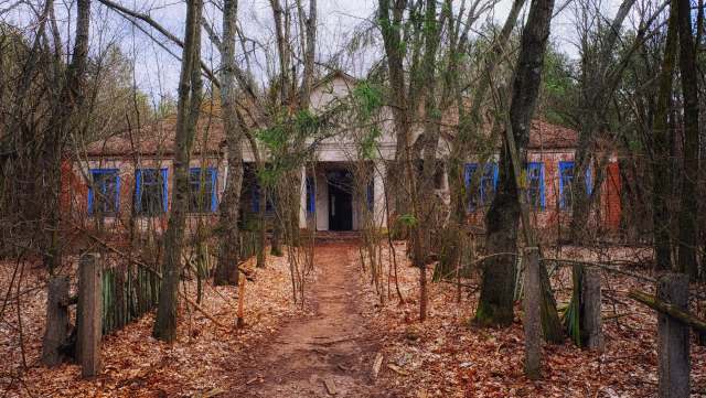 This was not the first time that authorities had discovered an illegal logging operation taking place in war-torn Ukraine.