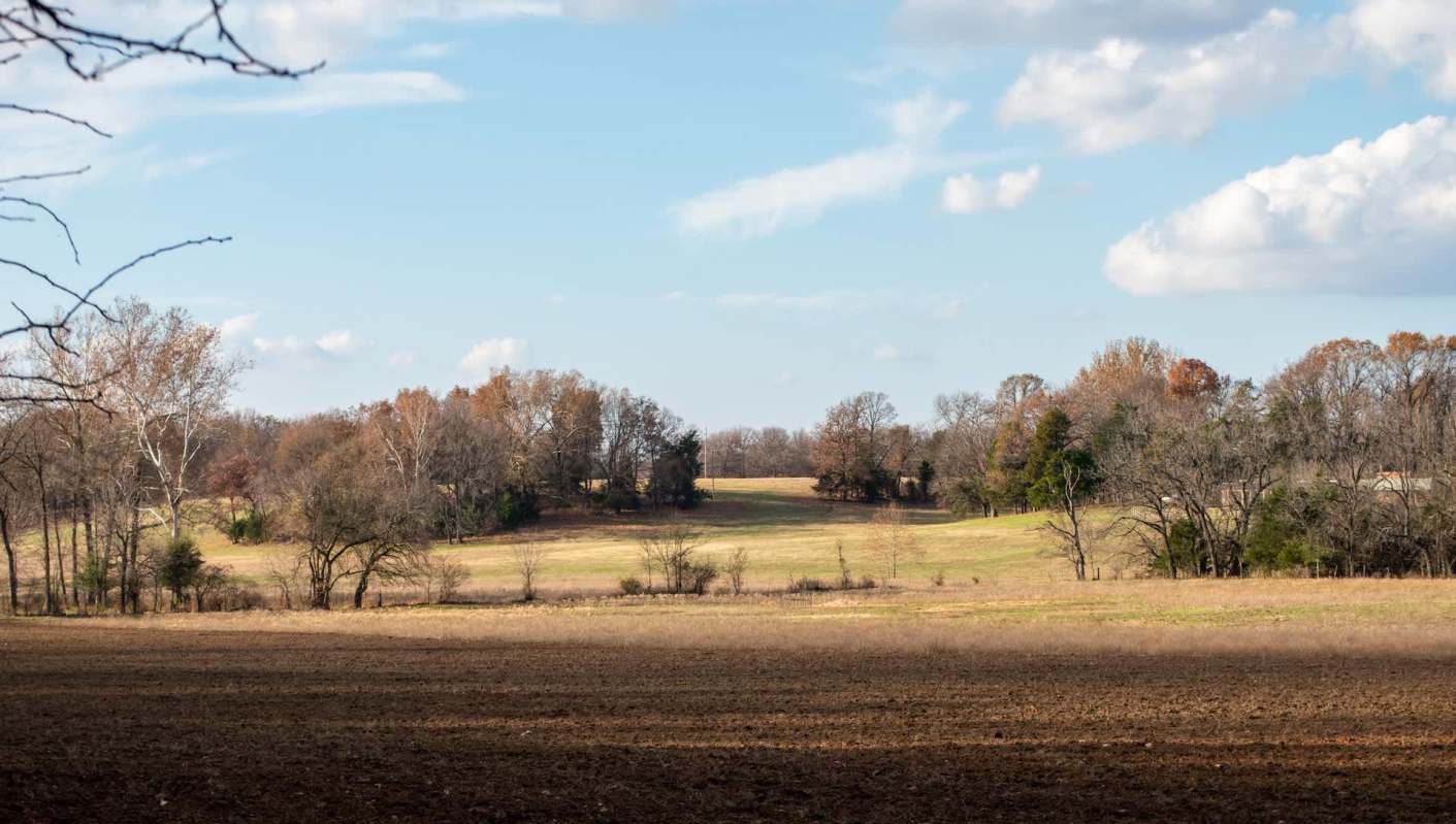 The Missouri Department of Conservation confirmed it removed over 150 specimens of the Chinese mystery snail in Lake Minesa in Marshall, Missouri.