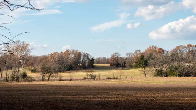 The Missouri Department of Conservation confirmed it removed over 150 specimens of the Chinese mystery snail in Lake Minesa in Marshall, Missouri.