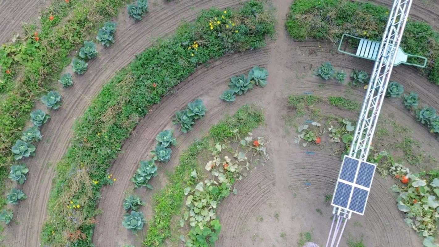 An industrial designer is testing an exciting new agricultural method, replacing standard rectangular fields with circular growing areas.