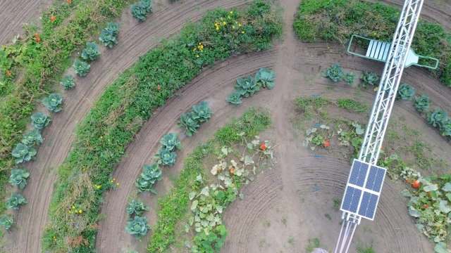 An industrial designer is testing an exciting new agricultural method, replacing standard rectangular fields with circular growing areas.