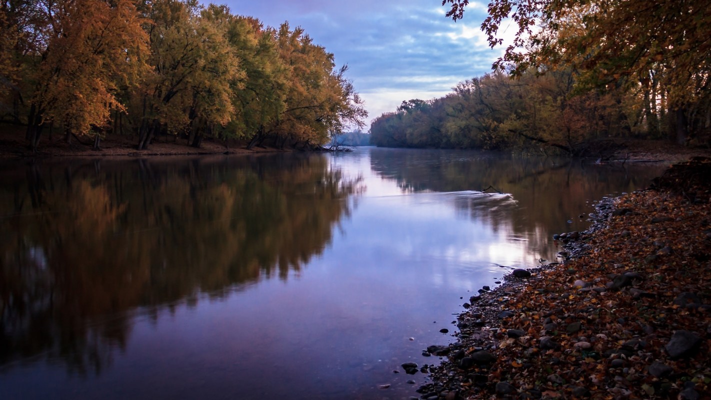 "It’s sad, isn’t it?"