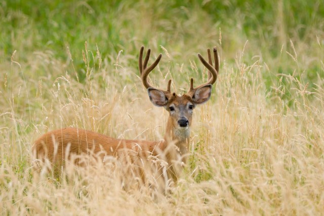 "This effort shows what’s possible when we work together."