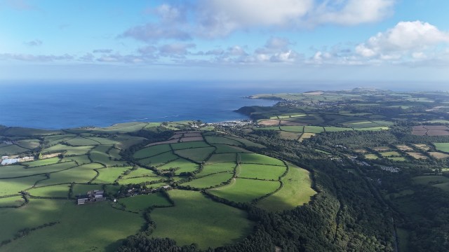 Thanks to Cornwall Wildlife Trust and its donors, a temperate rainforest in England is being restored.