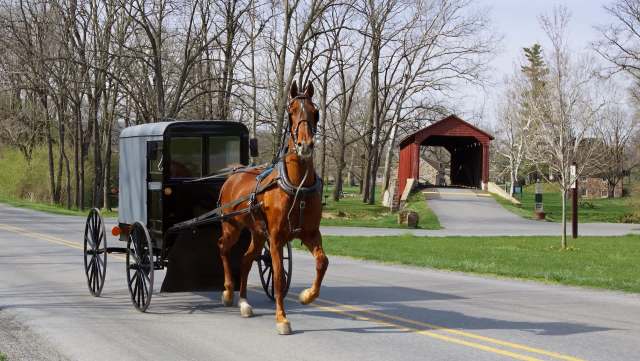 It seems like an Amish farmer was impressed by a Cybertruck — but a closer look reveals what all was actually happening in this viral post.