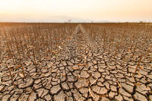 Understanding the issue is the first step toward developing practical solutions.