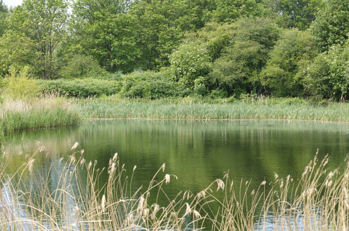 "The community is clearly upset."