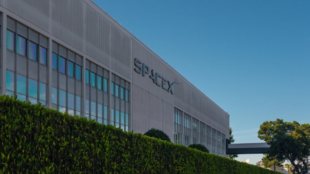 "Often the first to disappear locally after deforestation."