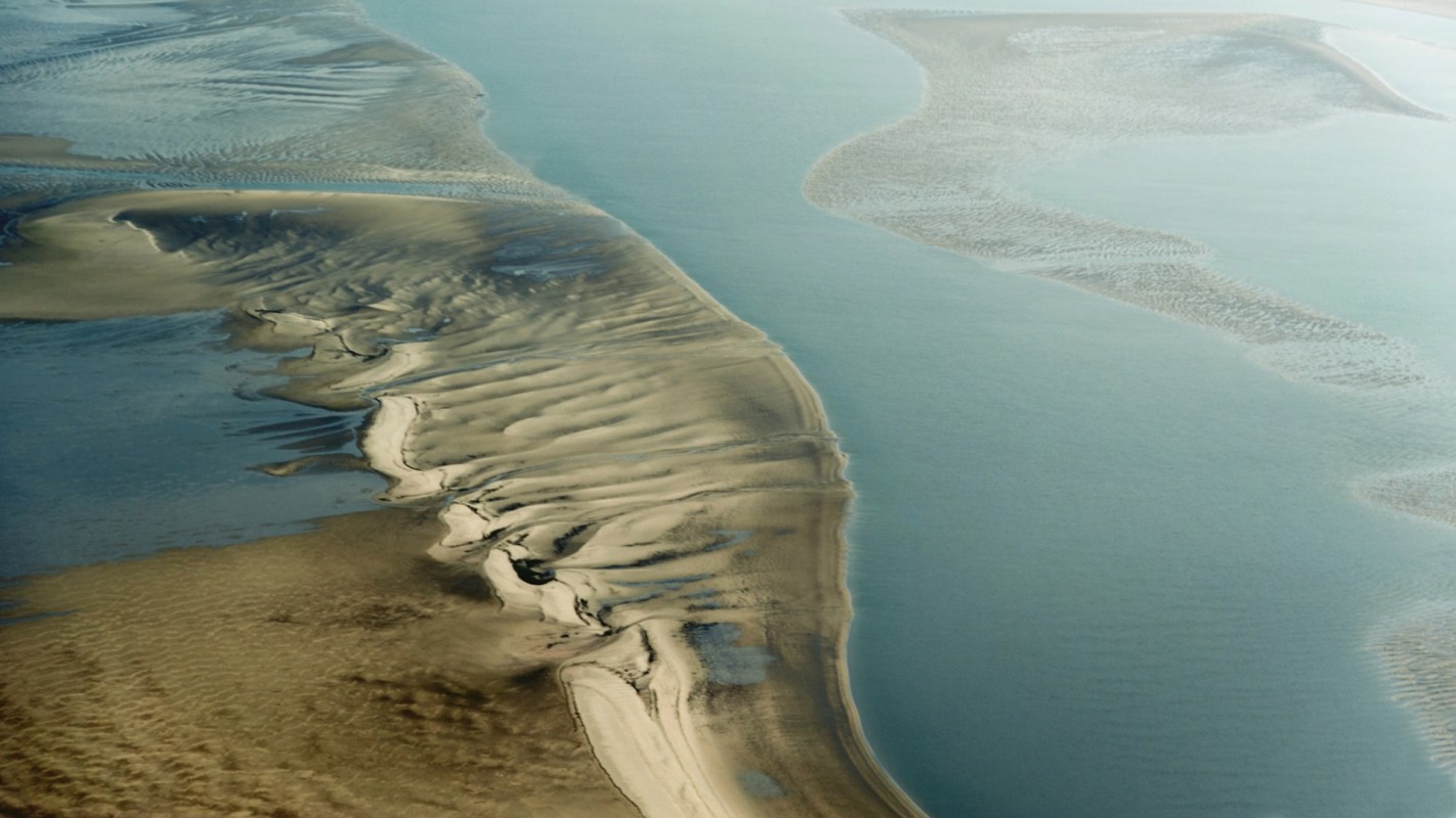 Germany might be scaling back its renewable energy plans, threatening the incredibly biodiverse Wadden Sea in the process.