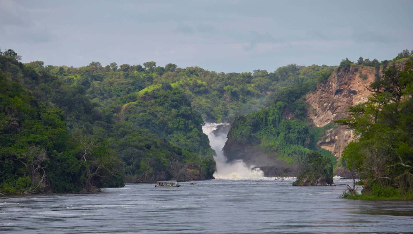 The company has been urged to relocate or cancel its work.