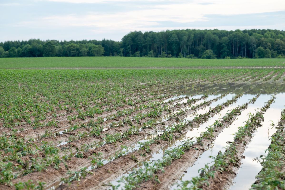 For consumers, it means the price of goods goes up.