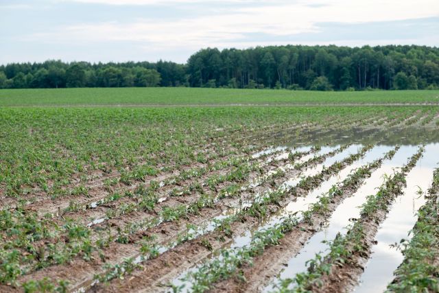 For consumers, it means the price of goods goes up.