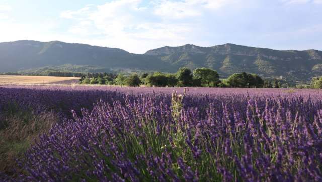 This quiet resurgence is more than a feel-good story.