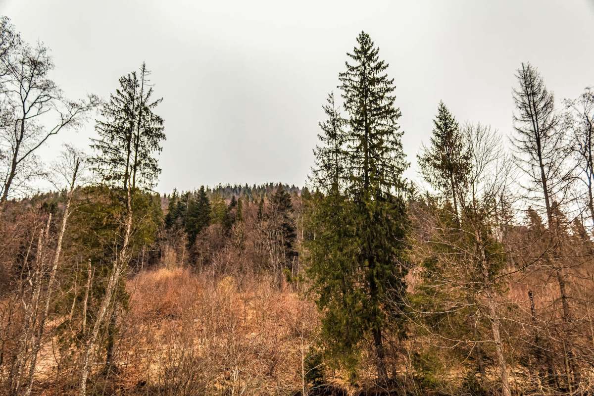 "It’s becoming less and less predictable."