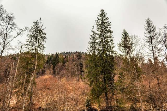 "It’s becoming less and less predictable."