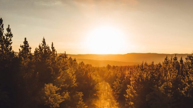 The Exoquad V2 is an off-road EV that helps people with disabilities access outdoor adventures.