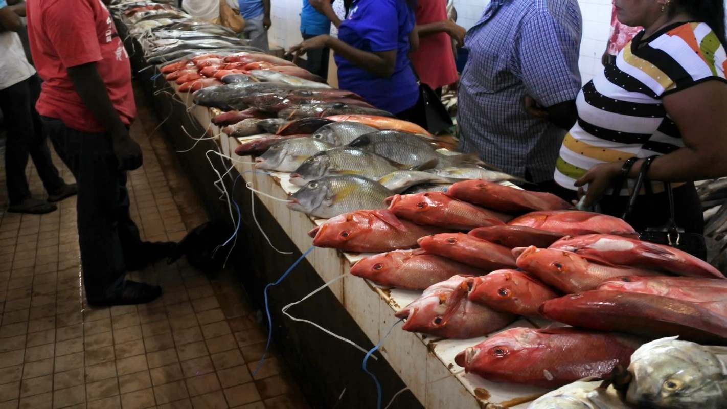 Fish in Fiji will be contaminated with microplastics, according to a new study — raising alarms for local officials.
