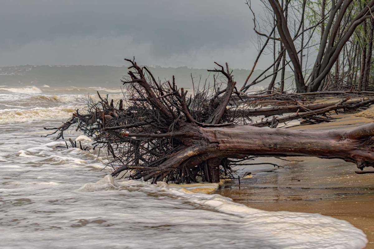 Hawai'i's shoreline is facing increasing danger from rising seas and erosion.
