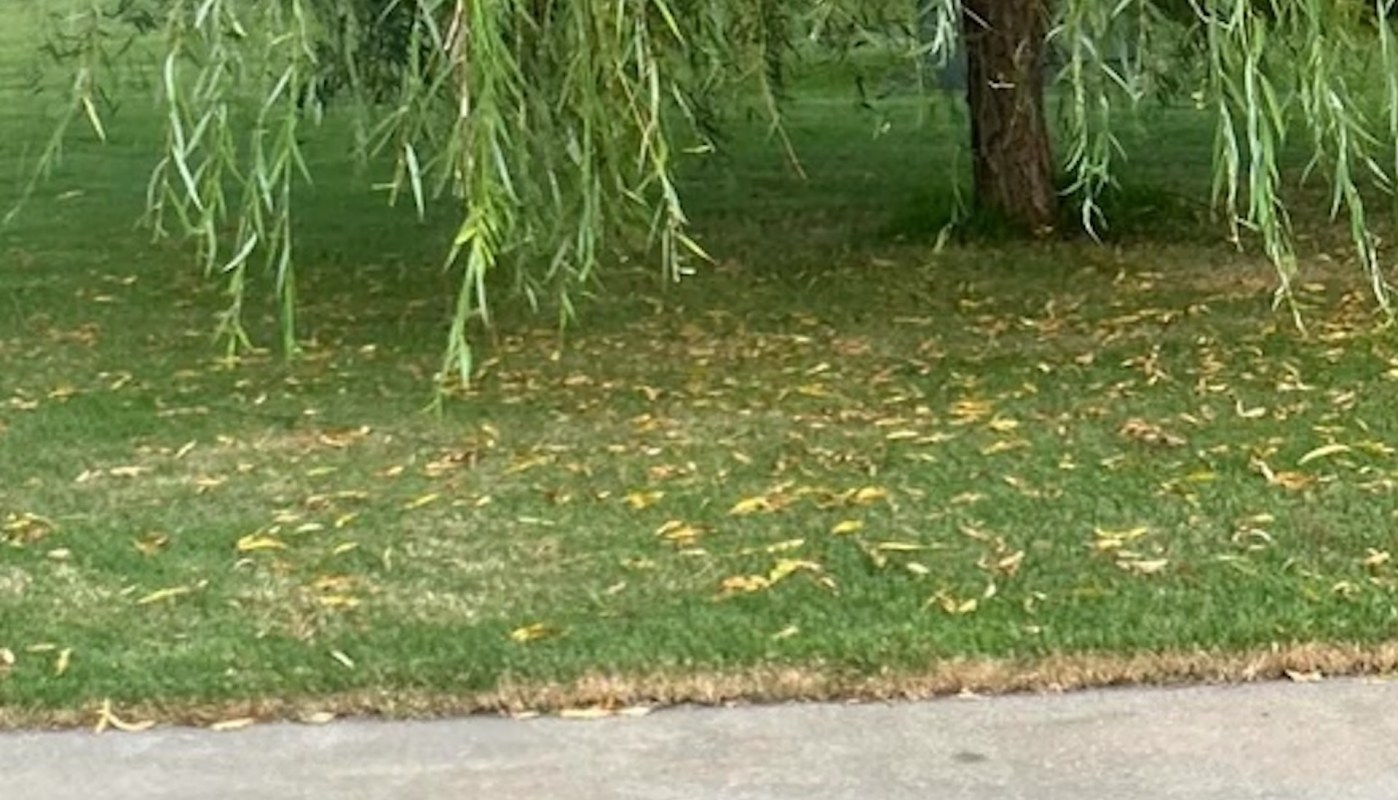 "I just don’t understand."