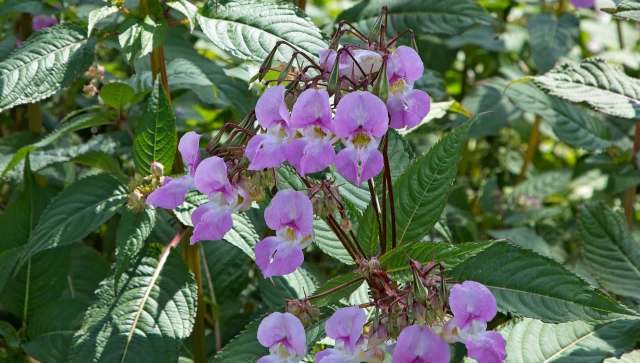 "I have been made aware of issues."