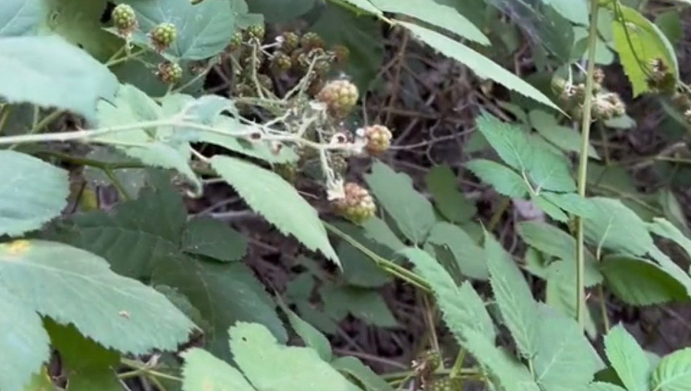 "It will overtake everything."