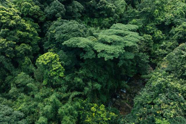 Huizhou, a Chinese city of just over 6 million people, has banned hunting land-based animals to protect its wildlife.