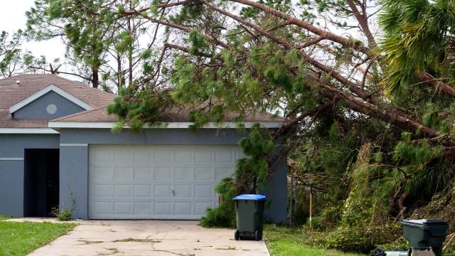 Thousands of downed trees from last fall’s Hurricane Helene could further fuel and intensify any wildfires that are sparked.