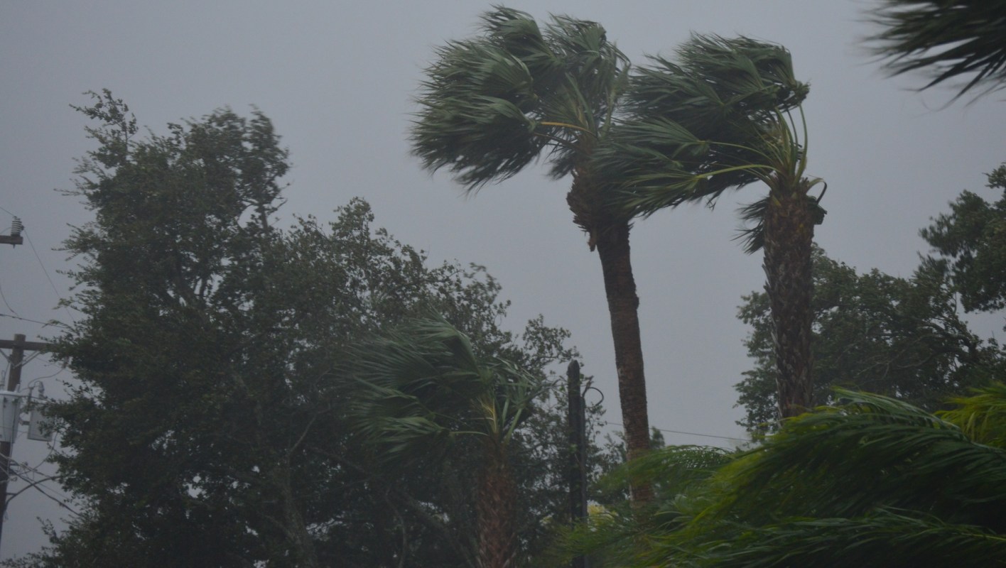 "Holds a lot of potential."