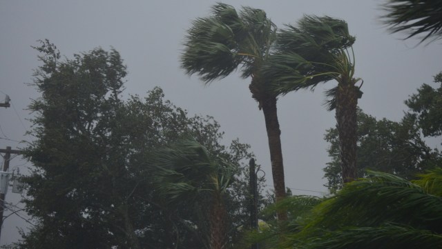 "Holds a lot of potential."