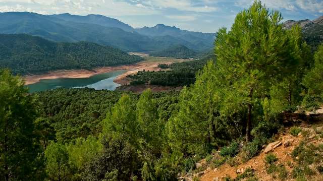 A Spanish photographer produced a social media sensation when he snapped a photo of a ghost cat: a rare Iberian lynx with bright white fur.