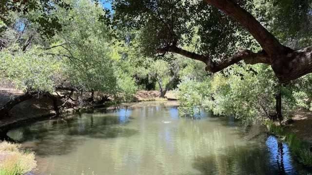 "This is coming from a place of understanding."