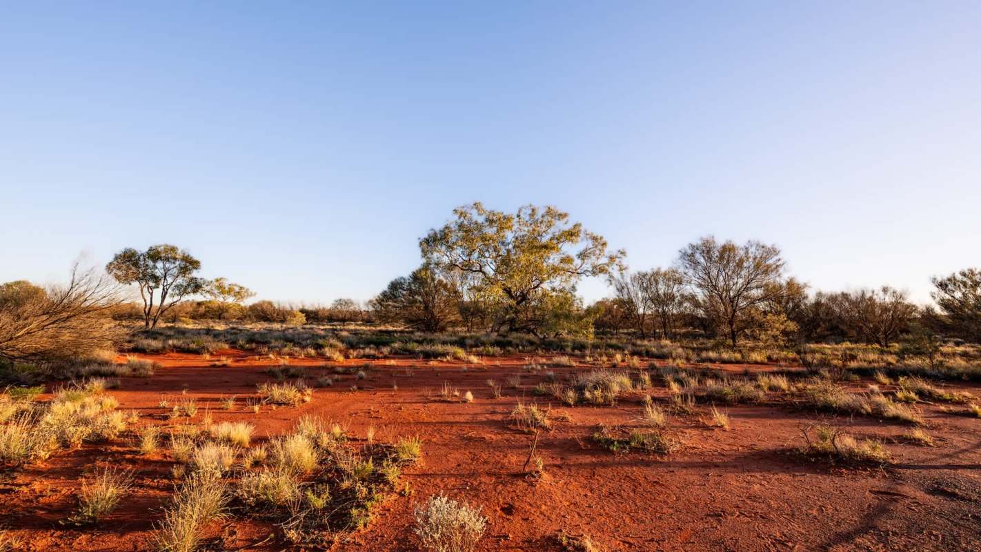 Authorities in Australia's Northern Territory are facing backlash over a decision they made — or perhaps failed to make — several years ago.