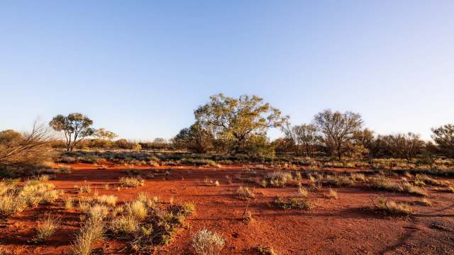 Authorities in Australia's Northern Territory are facing backlash over a decision they made — or perhaps failed to make — several years ago.