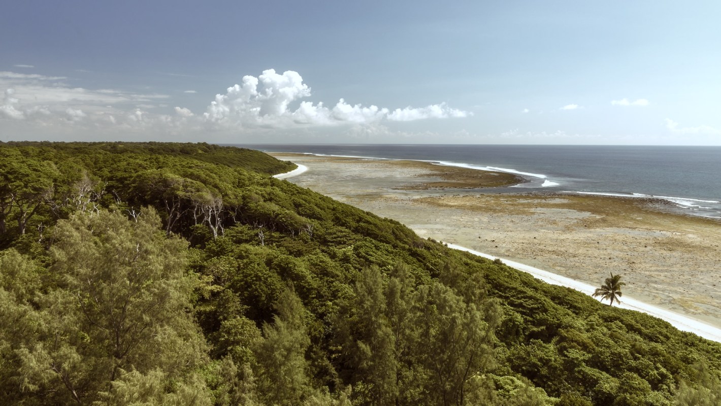 The researchers behind the study provided practical suggestions for managing the problem.