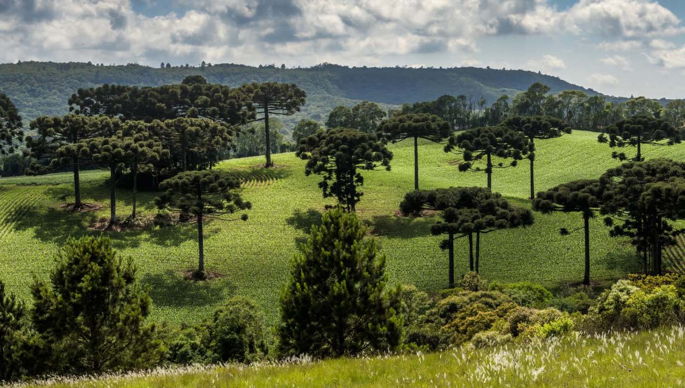 "The world’s third-largest transnational crime."