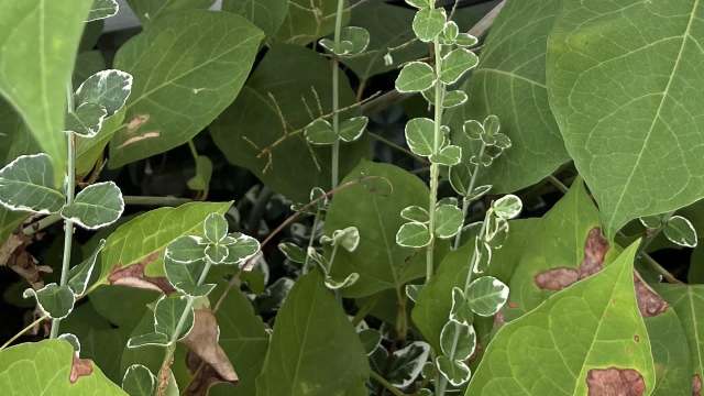 "Doing the lord's work."