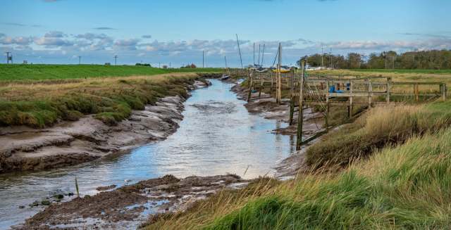 Environmental officials in the United Kingdom are warning neighbors to keep an eye out for Japanese knotweed and advising them how to control the spread of the invasive species.