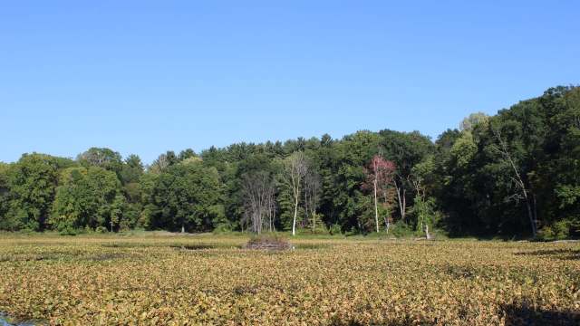 The Kindel Natural Area is a new nature preserve donated to the Mid-Michigan Land Conservancy and is open year-round for outdoor activities.