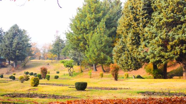 "There is an essential need."