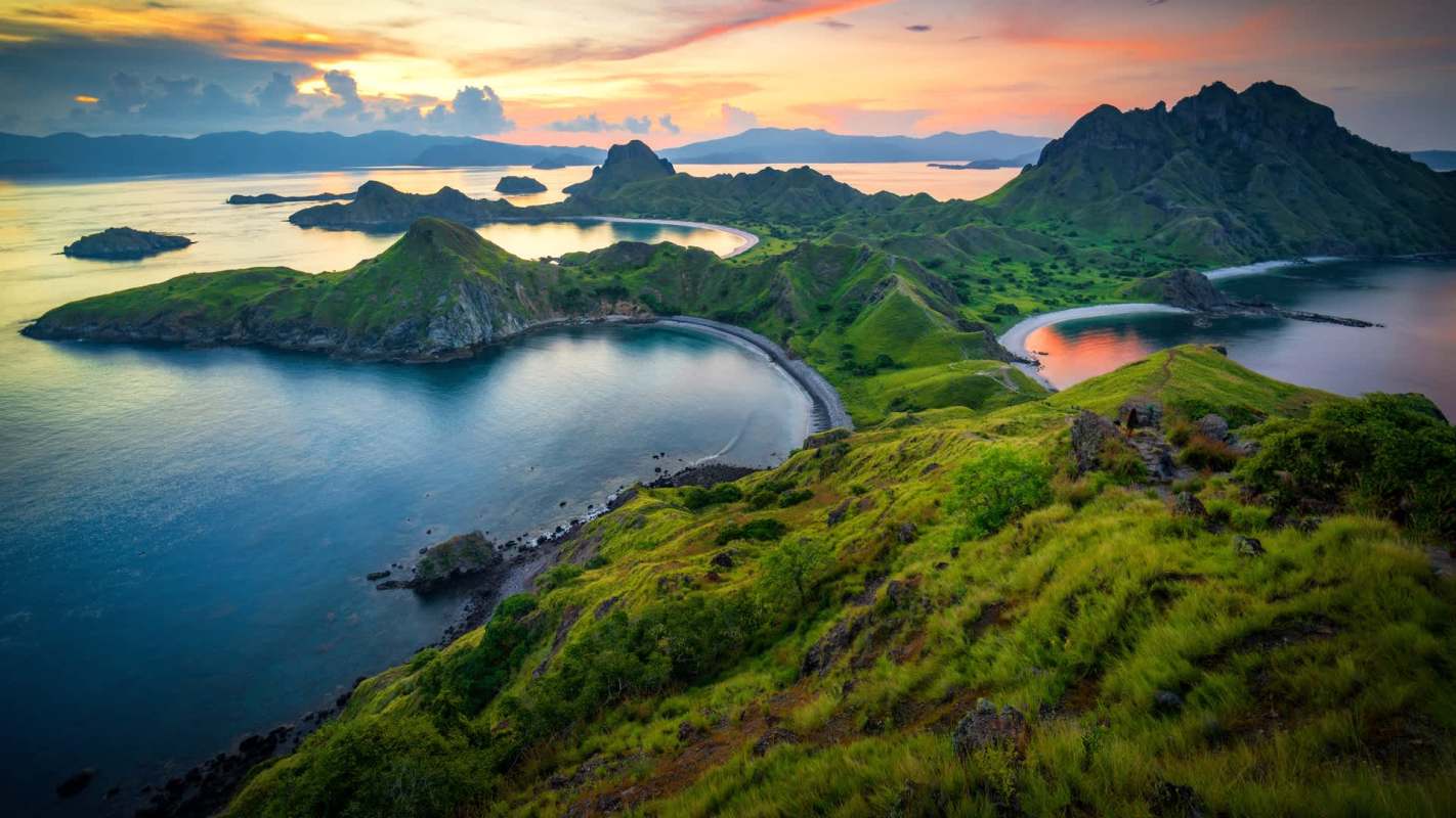 There are an estimated 3,000 Komodo dragons left, living on just a few scattered islands in Indonesia.